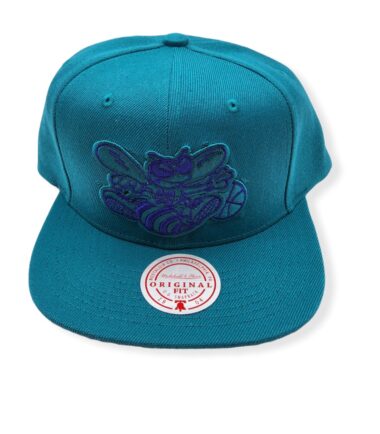 Mitchell & Ness Charlotte Hornets Two Tonal Teal Hardwood Classics Adjustable Snapback Hat Cap