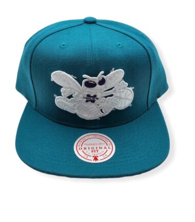 Mitchell & Ness Charlotte Hornets Color Popz Hardwood Classics Teal Adjustable Snapback Hat Cap