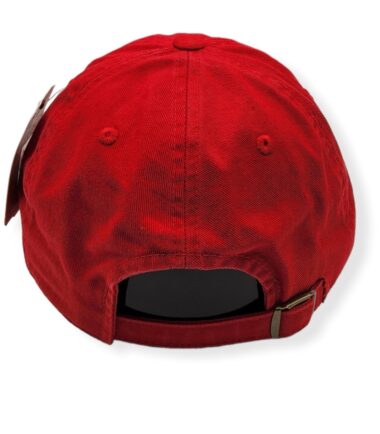 AN-Detroit-Red-Wings-Blue-Line-Cap-798698290369-04.jpg