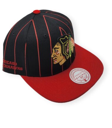 MN-Blackhawks-Team-Pin-195563703045-03.jpg