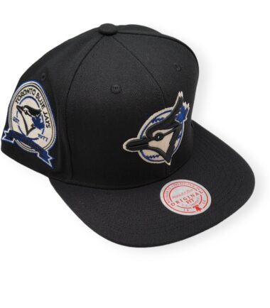 MN-Blue-Jays-Team-Classic-Coop-196945623876-03.jpg