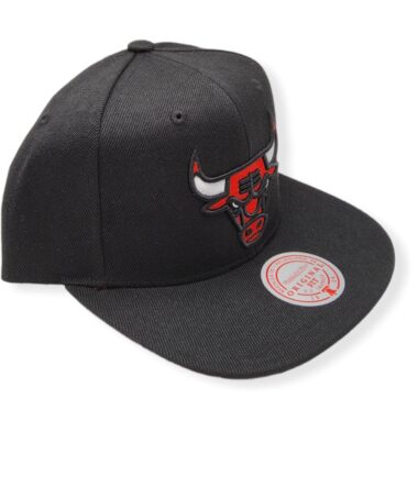 MN-Bulls-1996-Finals-Patch-195563192641-03.jpg