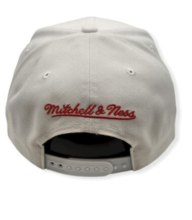 MN-Bulls-91-Champs-195563198049-04.jpg