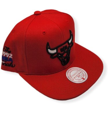 MN-Bulls-Glow-Team-1992-Finals-195563384565-03.jpg