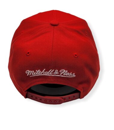 MN-Bulls-Glow-Team-1992-Finals-195563384565-05.jpg