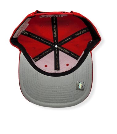 MN-Bulls-Glow-Team-1992-Finals-195563384565-06.jpg