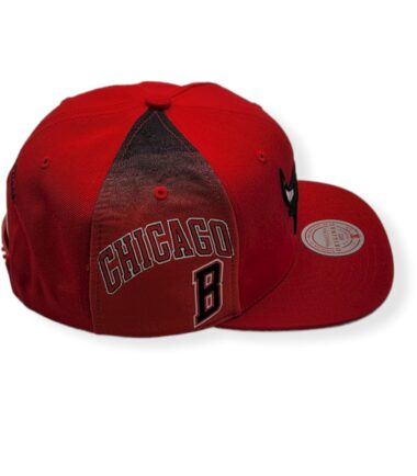 MN-Bulls-Tapestry-195563628188-05.jpg