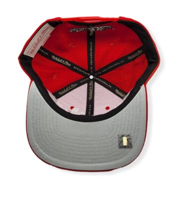 MN-Bulls-Tapestry-195563628188-06.jpg
