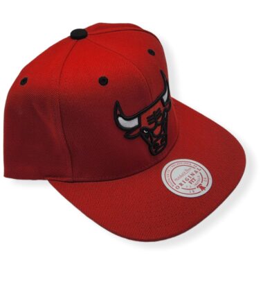 MN-Bulls-The-Champs-1991-Finals-195563196960-03.jpg