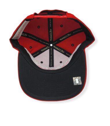 MN-Bulls-The-Champs-1991-Finals-195563196960-05.jpg
