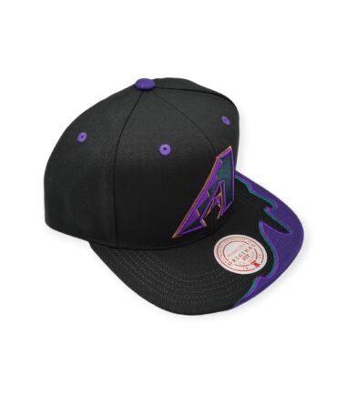 MN-Diamondbacks-Rising-Tide-197932043035-03.jpg