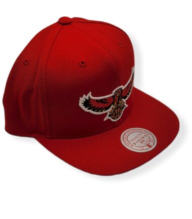 MN-Hawks-Team-Ground-697589219123-03.jpg