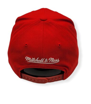 MN-Hawks-Team-Ground-697589219123-04.jpg