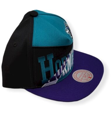 MN-Hornets-Multiply-196294176306-03.jpg