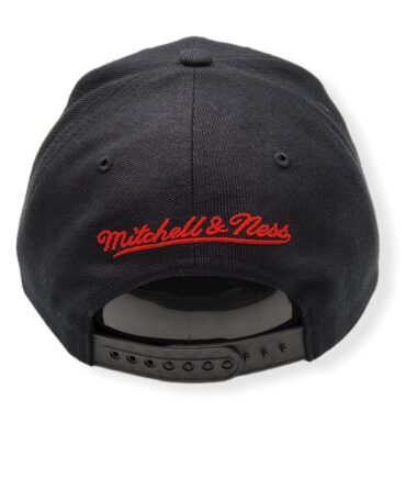 MN-Raptors-Black-Team-Pop-697589266806-04.jpg