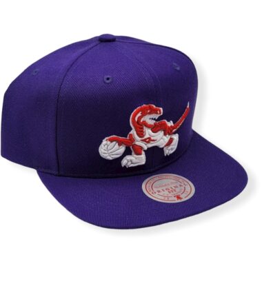 MN-Raptors-Color-Popz-195563292501-03.jpg