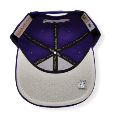 MN-Raptors-Color-Popz-195563292501-05.jpg
