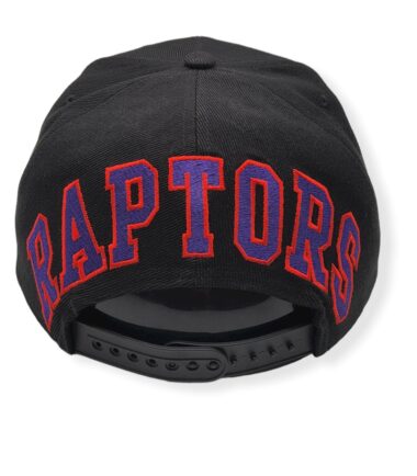 MN-Raptors-Drop-Back-194582186600-04.jpg