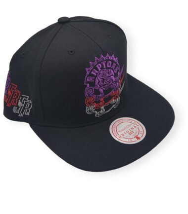 MN-Raptors-Drop-It-196945323615-03.jpg
