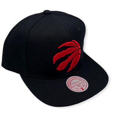 MN-Raptors-Team-Ground-V2-195563837252-03.jpg