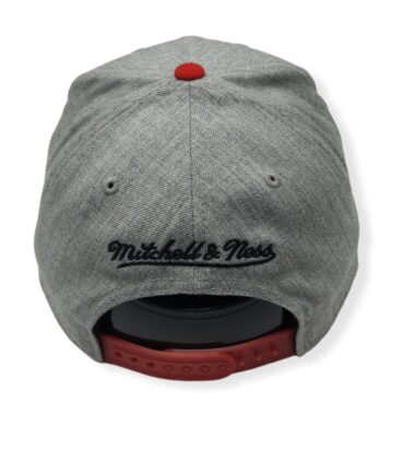 MN-Raptors-XL-Logo-Grey-Black-191686085679-04.jpg