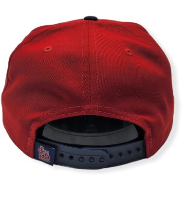 NE-Cardinals-950-Jumbo-B1-194090145649-04.jpg